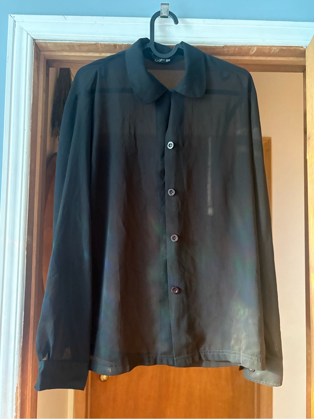 Delicate Androgynous Black Sheer Button-Up Blouse